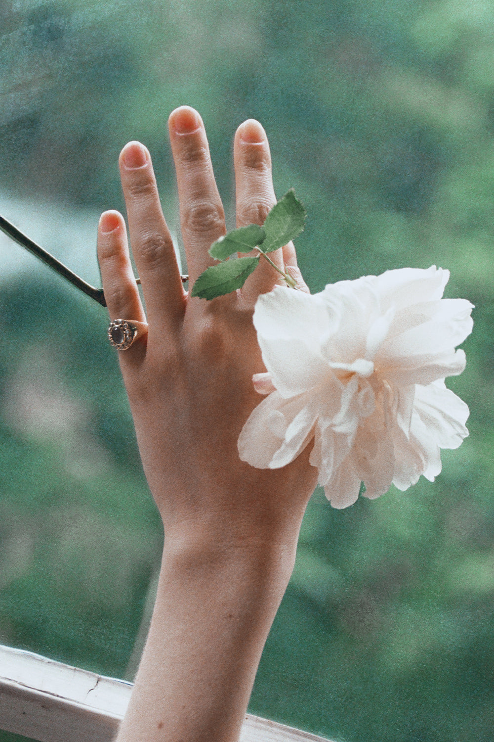 Secret Diamond Signet