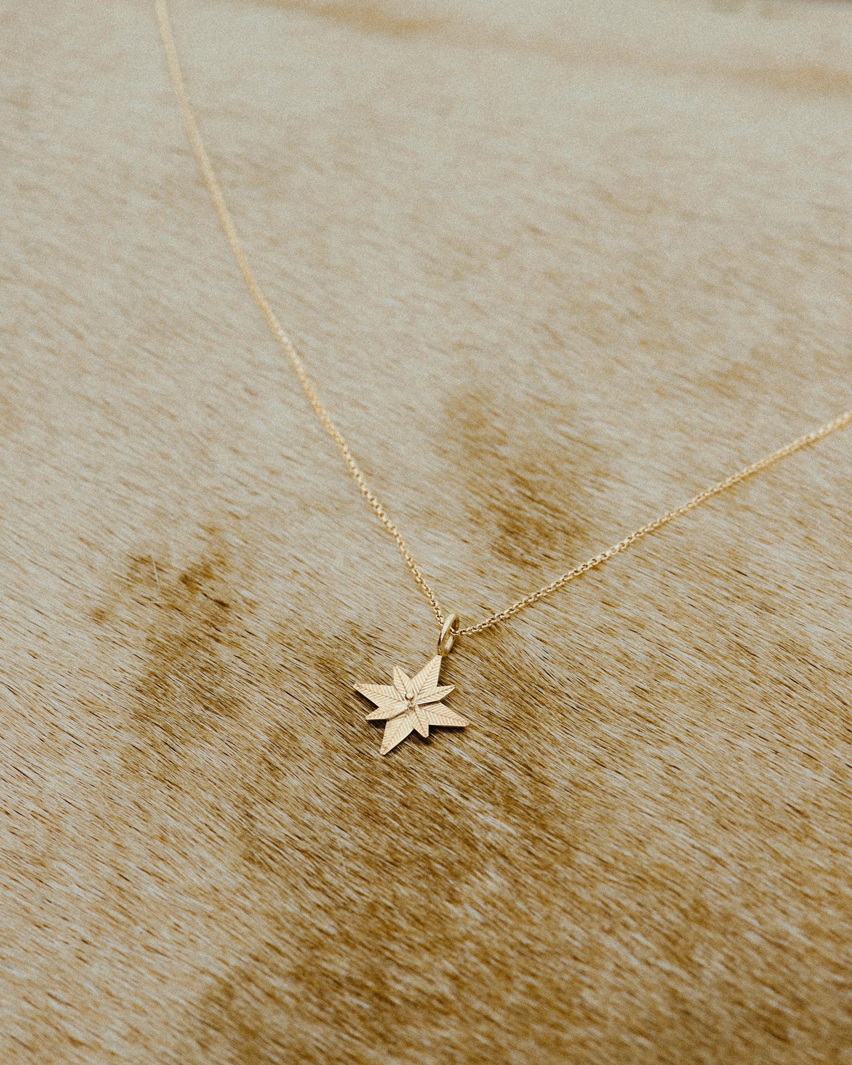 Lodestar Pendant