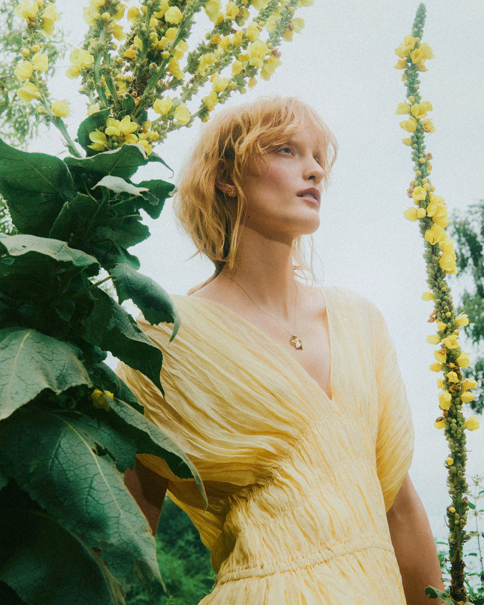 Waterlily Earrings