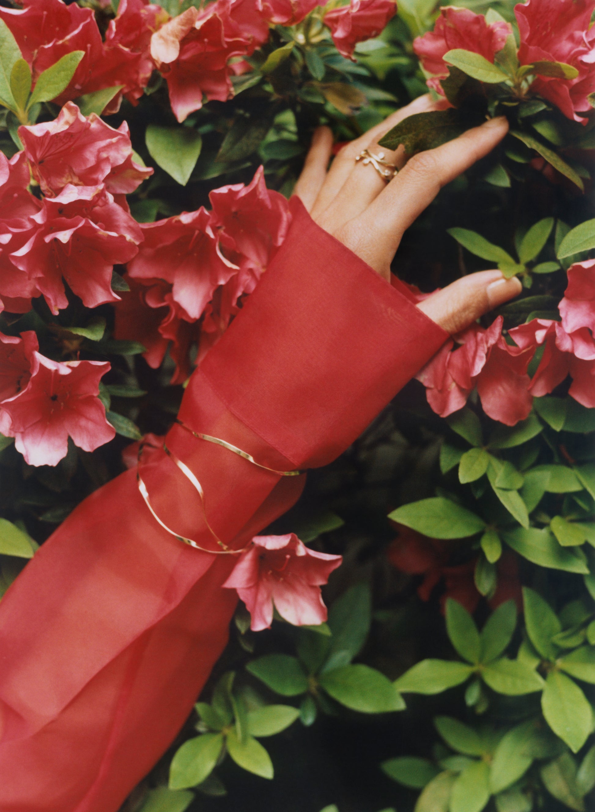 Ribbon Bracelet N°2