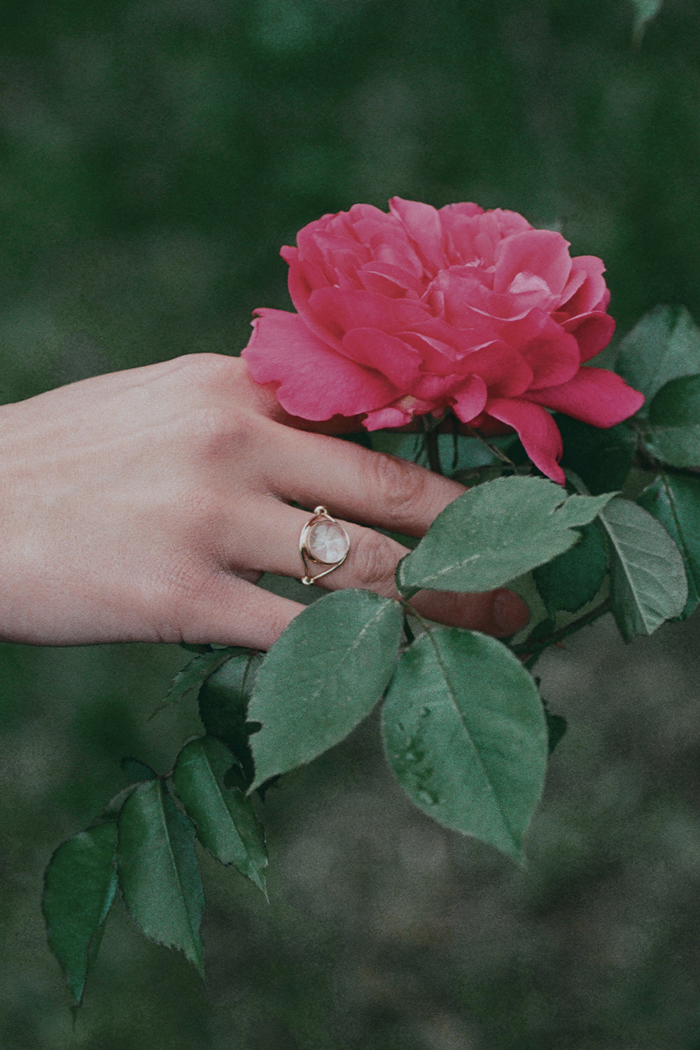 Magnolia Ring