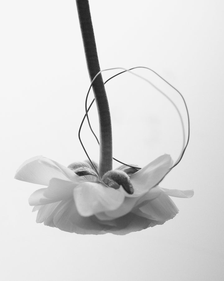 Nigella Bracelet N°1