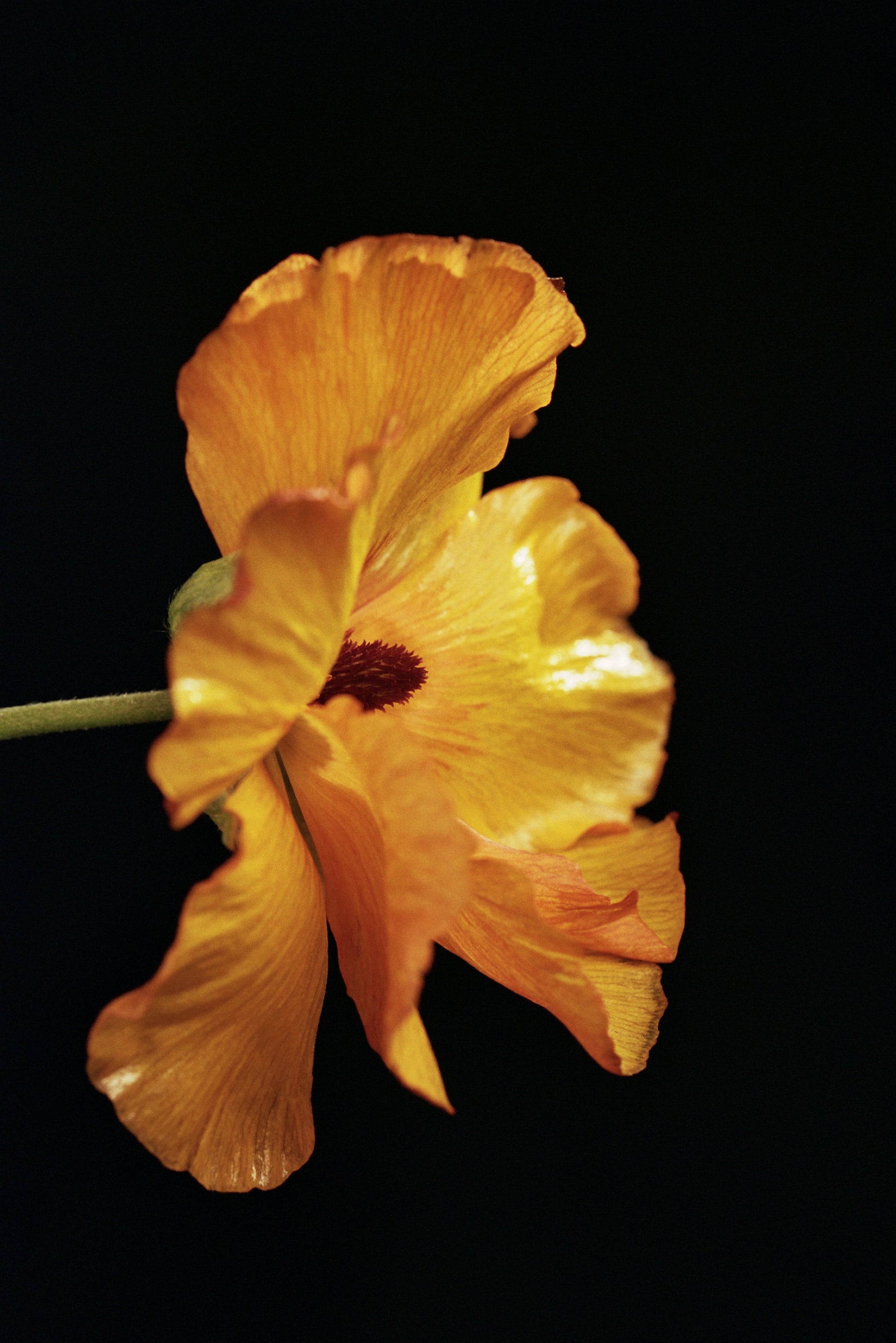 Karta podarunkowa online