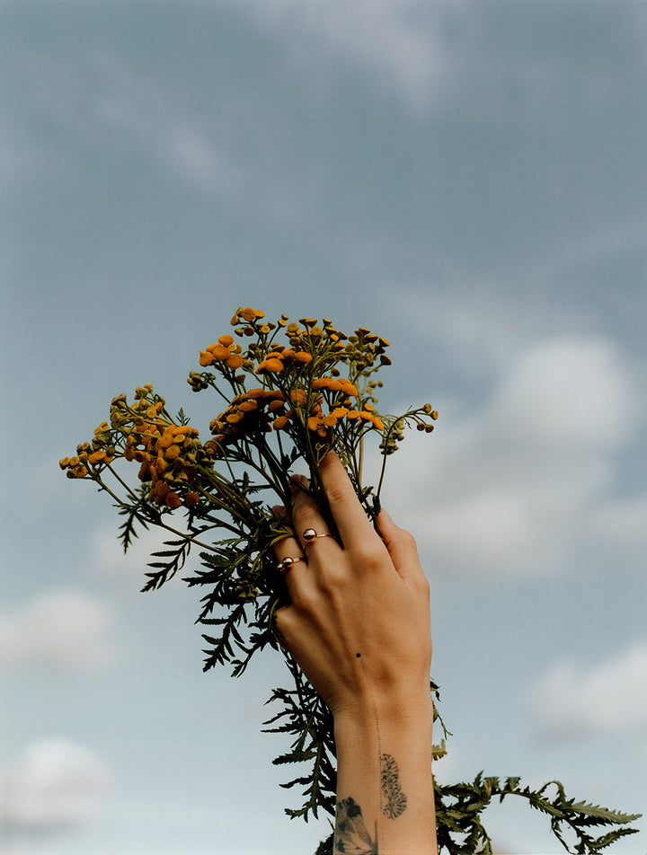 Cherry Ring N°3