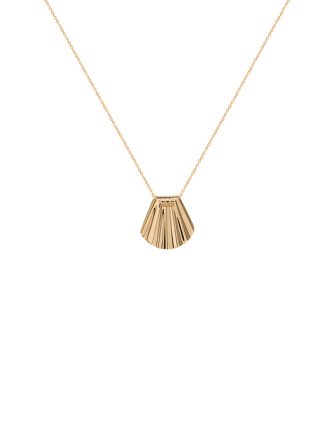 Mini Seashell Necklace